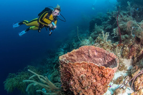 Blue Hole Belize Mergulho — Fotografia de Stock