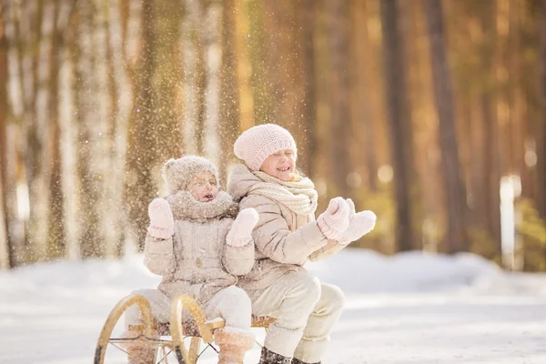 Ritratto di due bambine sedute su una slitta a giocare con la neve in inverno — Foto Stock