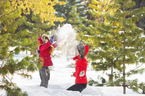 La madre e la figlia piccola giocano con una neve in legno in inverno — Foto Stock
