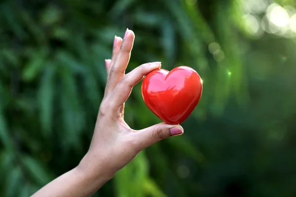 Red heart shape in the hands against green background — Stock Photo, Image
