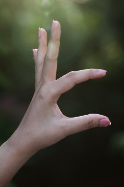 El yapımı kopya alanı hareketi yeşil bir arka plana dayanır