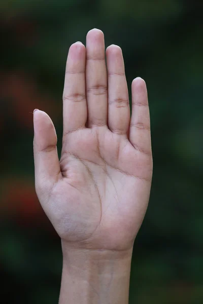 Offene Hand über grünem Hintergrund — Stockfoto