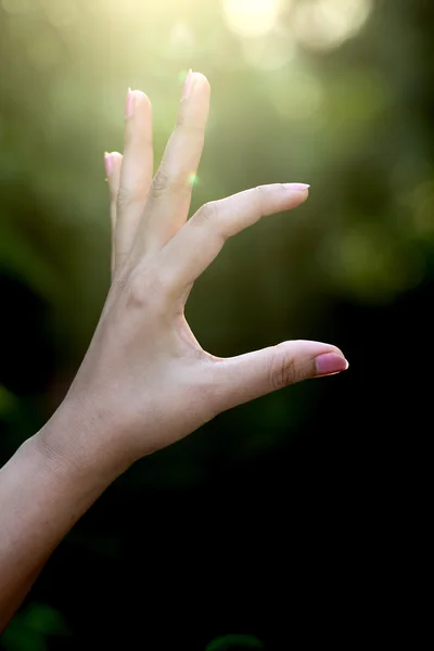 Mujer mano sosteniendo objeto imaginario contra fondo verde —  Fotos de Stock