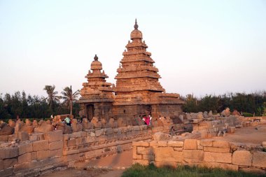  Ünlü sahil Tapınağı heykeller - binlerce Shore Tapınağı UNESCO Dünya Miras Listesi Mahabalipuram, Tamil Nadu, Hindistan