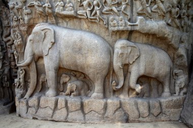 Ganj, Bagiratha, kefaret kaya kabartması Mamallapuram, Hindistan kökenli closeup