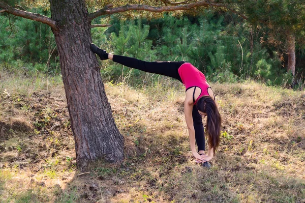 Genç, güzel esmer, koşu yaparken ayakkabılarını bağlayan.