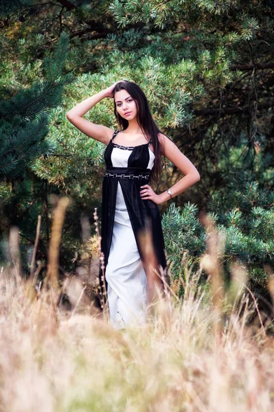 Elegante modelo morena encantadora posando en vestido negro en el parque de coníferas — Foto de Stock