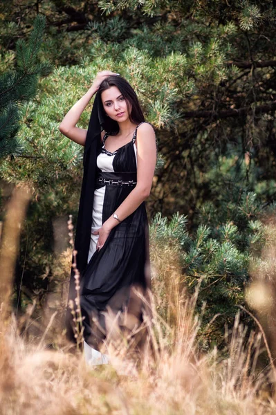 Грациозная очаровательная брюнетка, позирующая в черном платье в хвойном парке — стоковое фото