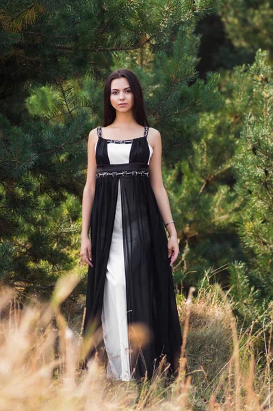 Sierlijke charmante brunette model poseren in zwarte jurk in naaldhout park — Stockfoto