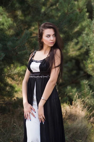 Graciosa modelo morena encantadora posando em vestido preto no parque conífero — Fotografia de Stock