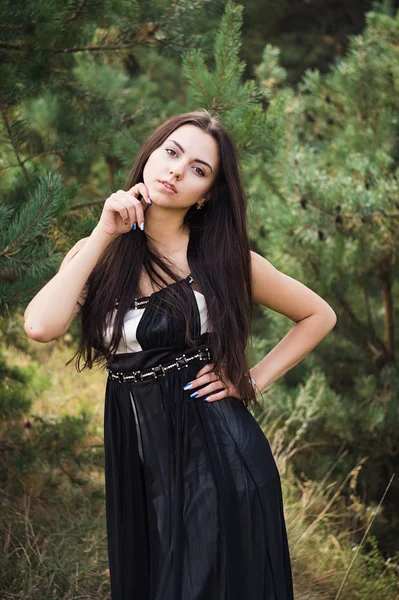우아한 매력적인 갈색 머리 모델 침 엽 수림 공원에서 검은 드레스에 포즈 — 스톡 사진