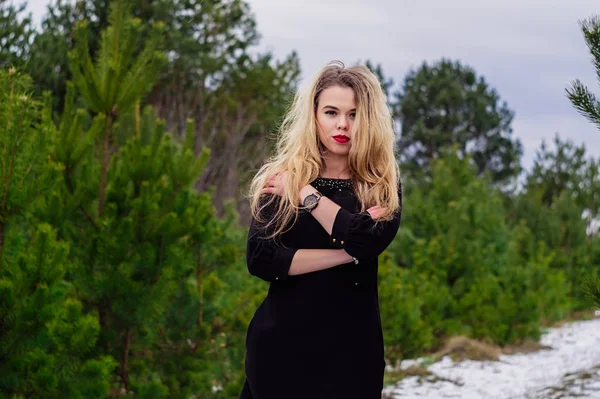 Menina posando em pinheiros — Fotografia de Stock