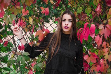 Güzel model sonbahar parkta poz