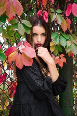 Güzel model sonbahar parkta poz