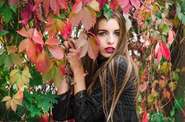 Güzel model sonbahar parkta poz