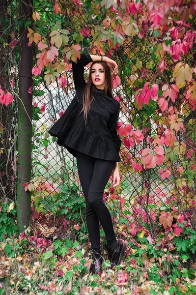 Güzel model sonbahar parkta poz