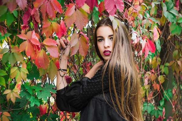 Mooi model poseren in herfst park — Stockfoto