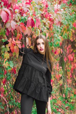 Güzel model sonbahar parkta poz