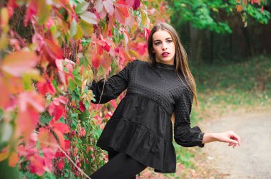 Güzel model sonbahar parkta poz