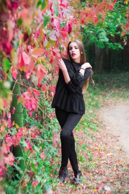 Güzel model sonbahar parkta poz