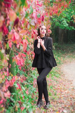 Güzel model sonbahar parkta poz