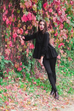 Güzel model sonbahar parkta poz