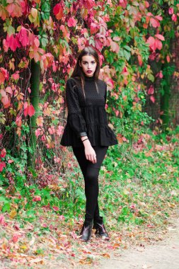 Güzel model sonbahar parkta poz