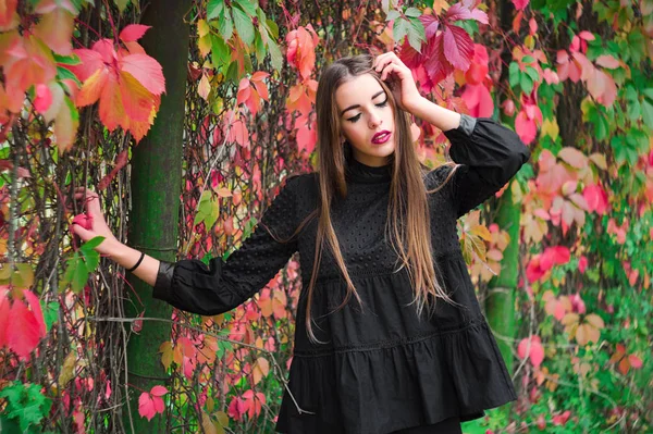 Güzel model sonbahar parkta poz