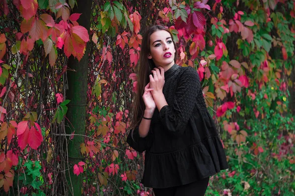 Hermosa modelo posando en el parque de otoño — Foto de Stock