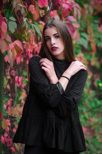 Schönes Model posiert im Herbstpark — Stockfoto
