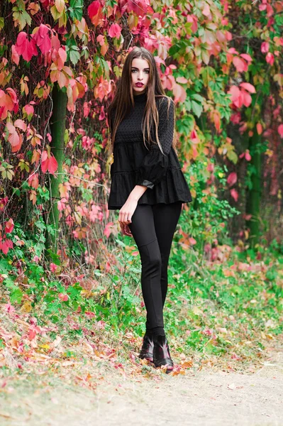 Model piękny pozowanie w jesienny park — Zdjęcie stockowe