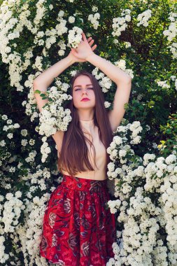 Güzel model aralığı bush beyaz çiçek