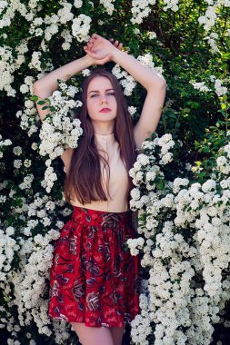 Güzel model aralığı bush beyaz çiçek