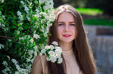 Güzel model aralığı bush beyaz çiçek