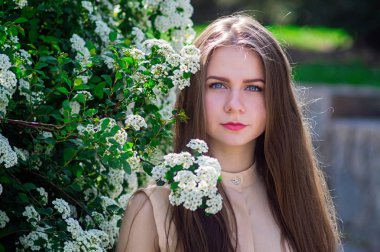 Güzel model aralığı bush beyaz çiçek