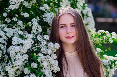 Güzel model aralığı bush beyaz çiçek