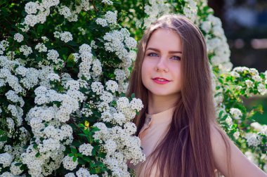 Güzel model aralığı bush beyaz çiçek