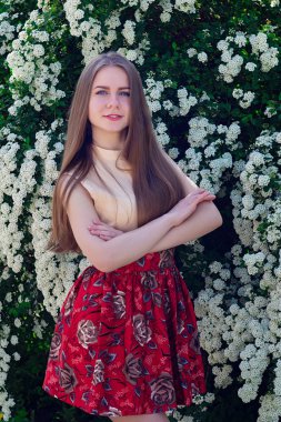 Güzel model aralığı bush beyaz çiçek