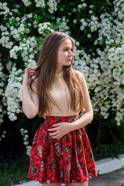 Güzel model aralığı bush beyaz çiçek