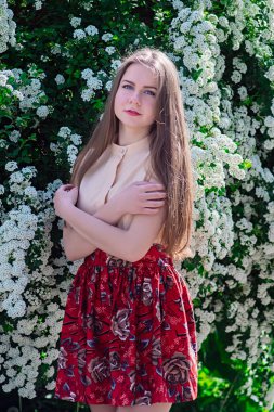 Güzel model aralığı bush beyaz çiçek