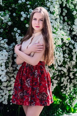 Güzel model aralığı bush beyaz çiçek