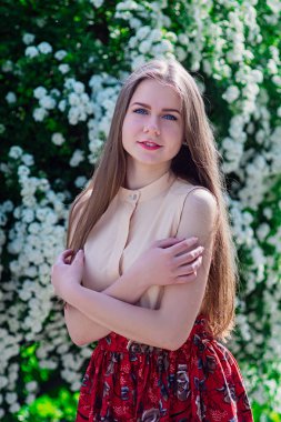 Güzel model aralığı bush beyaz çiçek