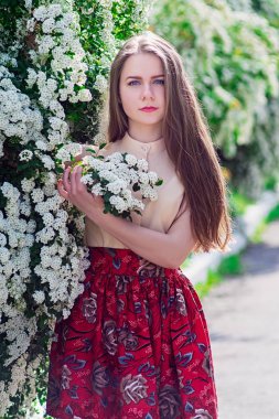 Güzel model aralığı bush beyaz çiçek