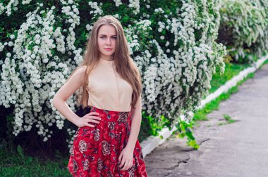 Güzel model aralığı bush beyaz çiçek