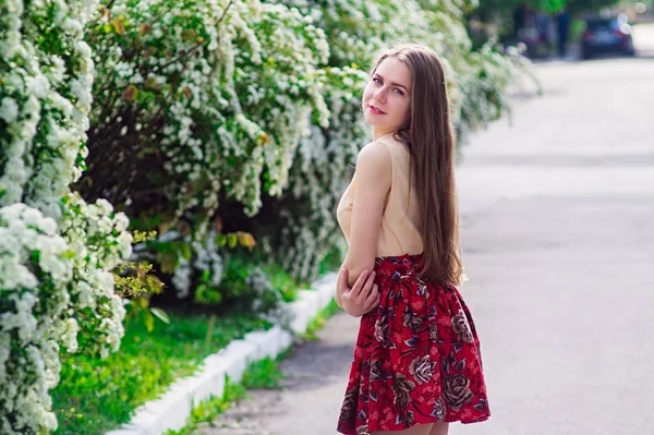 Mooi model bereik bush van witte bloemen — Stockfoto