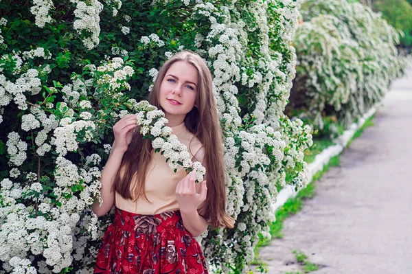 白い花の美しいモデル範囲ブッシュ — ストック写真