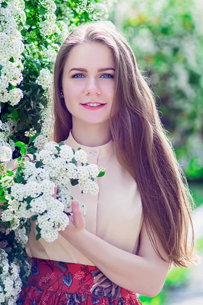 Hermoso modelo gama arbusto de flores blancas — Foto de Stock