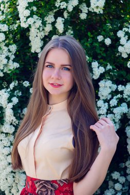 Güzel model aralığı bush beyaz çiçek