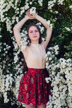 Güzel model aralığı bush beyaz çiçek