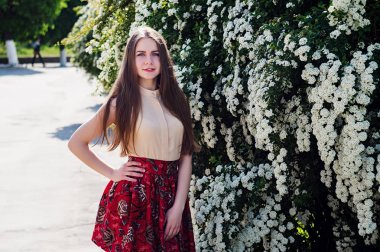 Güzel model aralığı bush beyaz çiçek